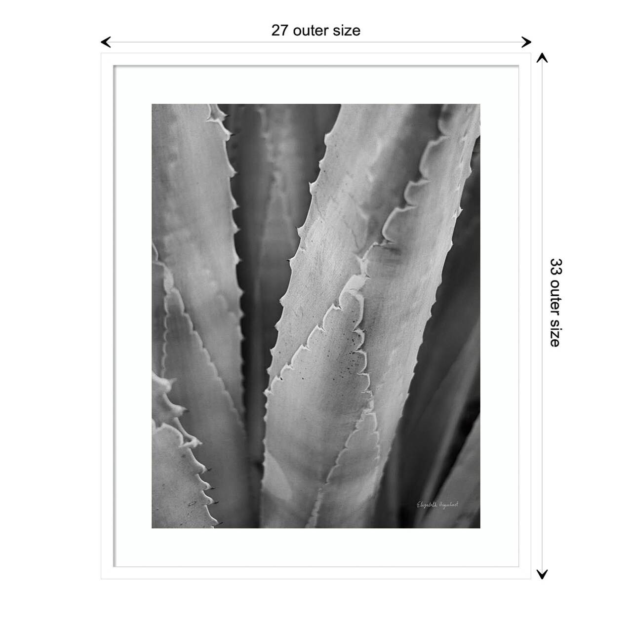 Abstract Agave I by Elizabeth Urquhart Wood Framed Wall Art Print